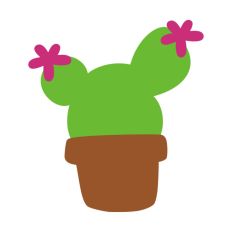 Cactus Plant Pot