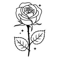Pretty Rose Flower Stem Thorns Leaves