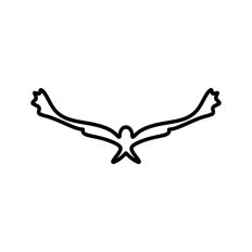 Flying Eagle Hawk Outline
