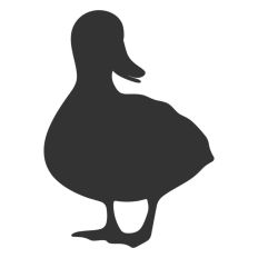 Duck Solid Shape