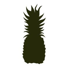 Pineapple Silhouette 