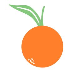 Orange with Leaves