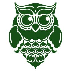 Owl Detailed