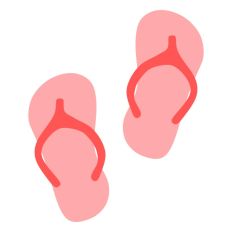 Pair of Flip Flops