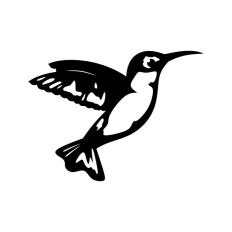 Hummingbird