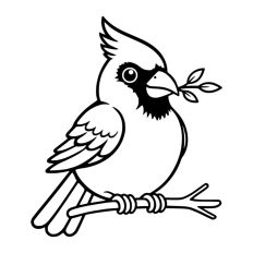 Christmas Cardinal Bird Festive Winter