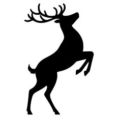 Reindeer Christmas Sleigh Santa Festive