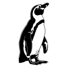 Penguin Animal Winter Bird Christmas