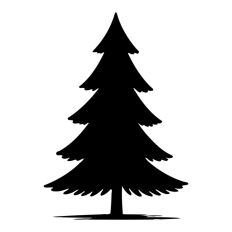 Pine Tree Forest Winter Spruce Christmas