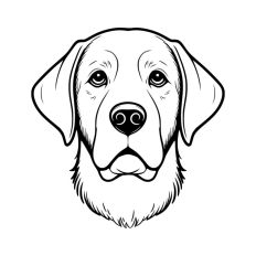 Retriever Dog Labrador Puppy Pet Head