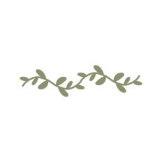 Botanical Vine Leaf Branch Tree Stem Floral Pattern Border Line