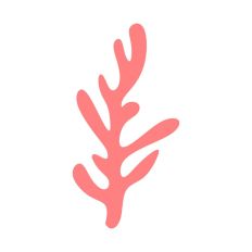 Long Coral