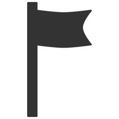 Flag In Wind