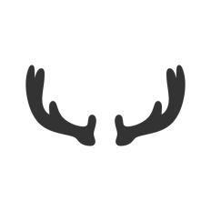 Stag Antlers