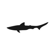 Shark Silhouette 