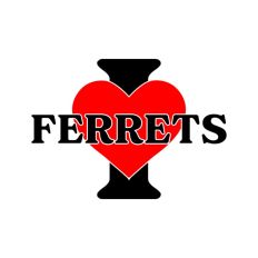 I Love Ferrets
