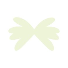 Flower Petals