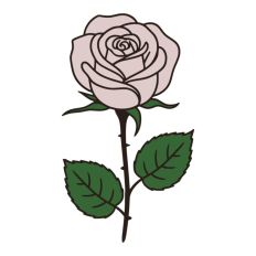 Pretty Rose Flower Stem Thorns Leaves