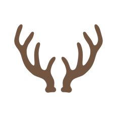 Deer Buck Stag Antlers Christmas Reindeer Hunting