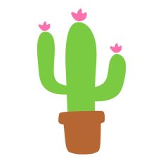 Flowering Cactus with Plant Pot