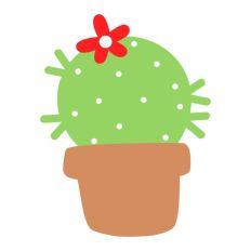 Ball Cactus in Plant Pot