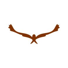 Flying Eagle Hawk
