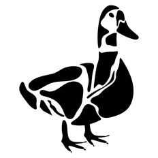 Detailed Duck 