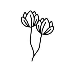 Hand Drawn Flowers Sketch Style Lines