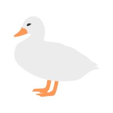 Cute Duck Standing on Side