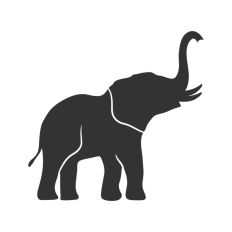 Elephant with Tusks