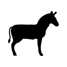 Horse Silhouette