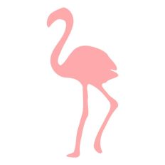 Flamingo Silhouette