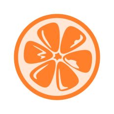 Orange Slice