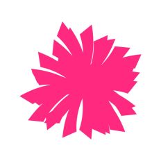 Cheer Pom