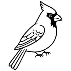 Christmas Cardinal Bird Festive Winter