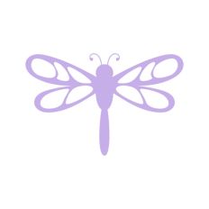 Dragonfly Delicate Wings