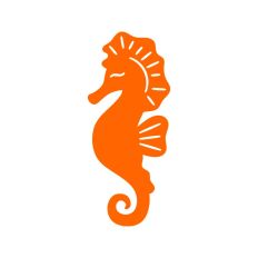 Seahorse with details