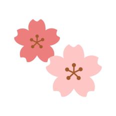 Cherry Blossom