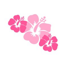 Hibiscus Flowers