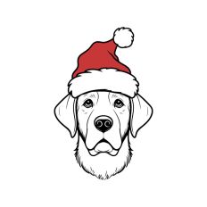 Retriever Christmas Santa Hat Dog Labrador 