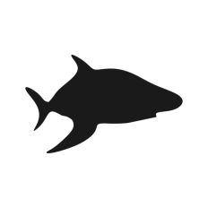 Shark Silhouette 