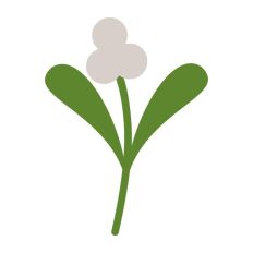 Mistletoe Christmas Plant Winter Festive Kiss