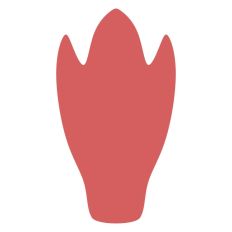 Flower Petal