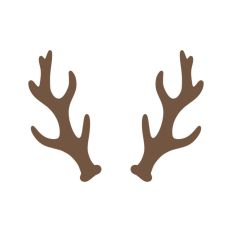 Deer Buck Stag Antlers Christmas Reindeer Hunting