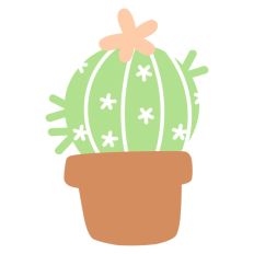 Round Cactus in Plant Pot