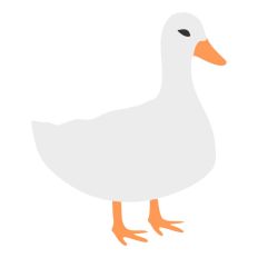 Duck Standing on Side
