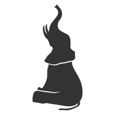 Elephant with Tusks Sitting