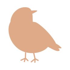 Bird Silhouette