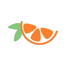 Orange Segment with Leaves
