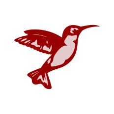 Hummingbird